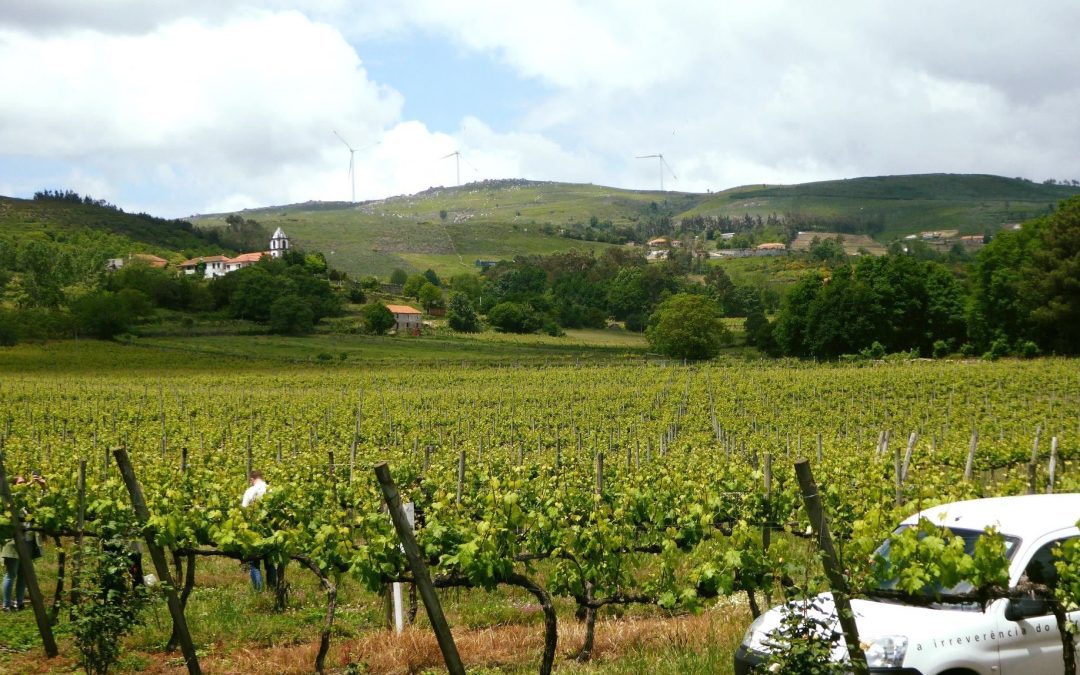Monthly Wine Maker Showcase – Quinta Do Ferro