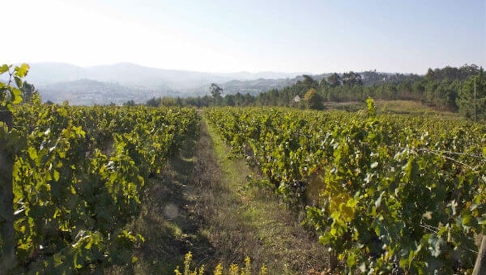 Quinta da Serradinha